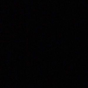 Meet your Posher, Joey